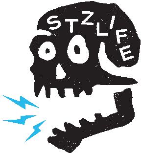 stzlife | boardsports + outdoors